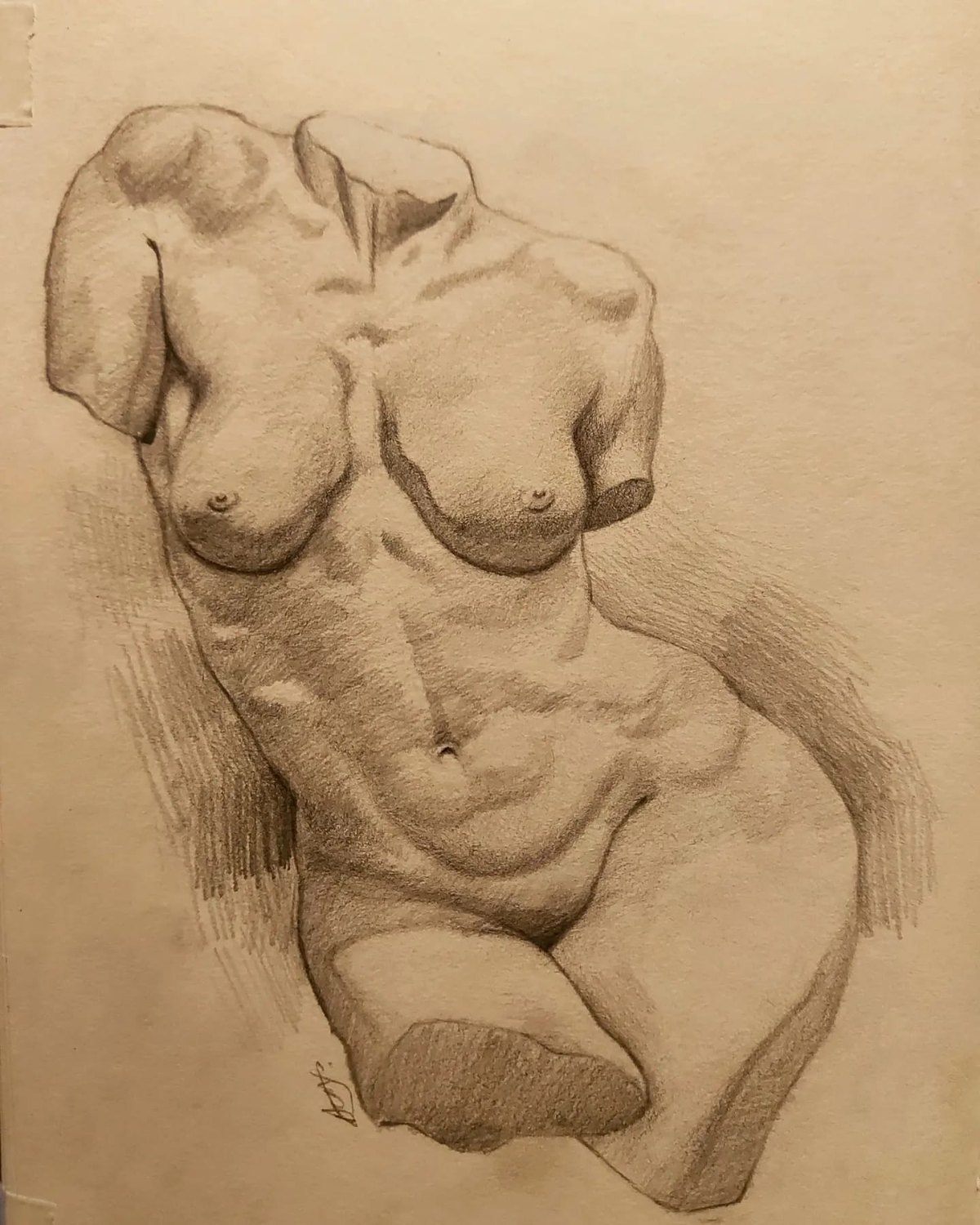 Graphite study 07